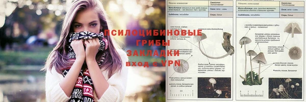 прущая мука Алзамай